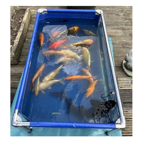 Aquarium Pool mit klarem Sichtfenster und Edelstahlrahmen, Flexibler Haltetank für Schildkröten und Fische, einfache Montage Aquarium Pool mit klarem Sichtfenster und Edelstahlrahmen, Flexibler Haltetank für Schildkröten und Fische, einfache Montage von Generisch