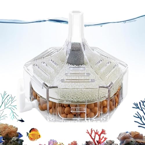 Aquarium-Reinigungsgerät – Filter für Aquarien zu Hause, kompakter Wasserreiniger, Wartungswerkzeug, kleine Tanks, effizientes Filtersystem für die Pflege von Haustieren Aquarium-Reinigungsgerät – Filter für Aquarien zu Hause, kompakter Wasserreiniger, Wartungswerkzeug, kleine Tanks, effizientes Filtersystem für die Pflege von Haustieren von Generisch