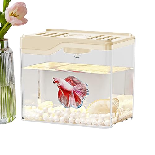 Aquarium Starter Kits - 12x8x10 Cm Komplett Betta Fischtank | Nano Aquarium Setup Mit Zubehör | Einfach Zu Bedienender Fischtank Geeignet Für Anfänger, Haus, Büro, Schreibtischdekor, Kleine Fischpfleg Aquarium Starter Kits - 12x8x10 Cm Komplett Betta Fischtank | Nano Aquarium Setup Mit Zubehör | Einfach Zu Bedienender Fischtank Geeignet Für Anfänger, Haus, Büro, Schreibtischdekor, Kleine Fischpfleg von Generisch