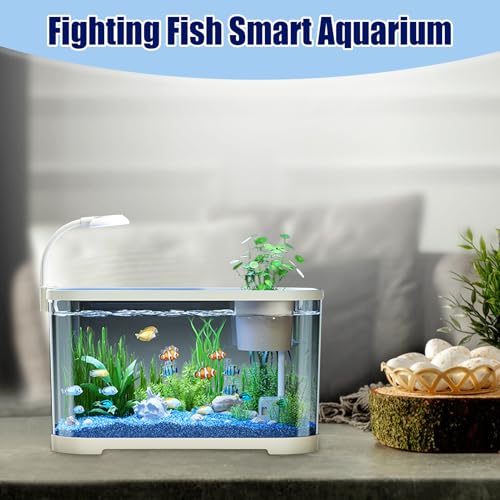 Aquarium-Starter-Kits – Aquarium-Set für Anfänger | Kleines Fischtank-Kit | Tisch-Terrarium, Dekoratives Becken für Sumpfschildkröten, transparentes Haustier-Aquarium Supplies von Generisch