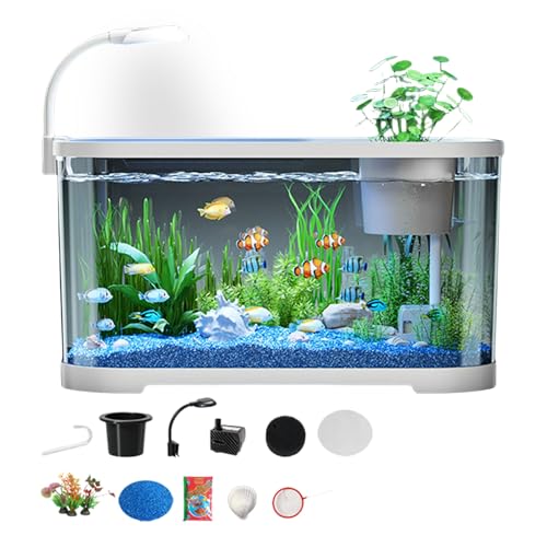 Aquarium Starter Kits - Desktop -Fischtank -Kit - Aquarium Für Terrapin | Dekorative Klare | Schildkröte Und Schildkröte | Kompaktes -Aquarium | Mit Filter | LED -Leuchten | Ideal Für Zuhause | B von Generisch