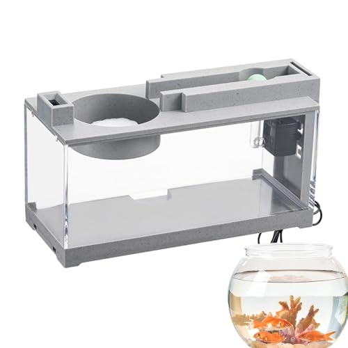 Aquarium-Starter-Set mit Luftpumpe und Licht, kleines Aquarium, dekorativ, Retro, leises Aquarium, kleines Aquarium für Schildkröte, Reptilien, , Moos Aquarium-Starter-Set mit Luftpumpe und Licht, kleines Aquarium, dekorativ, Retro, leises Aquarium, kleines Aquarium für Schildkröte, Reptilien, , Moos von Generisch
