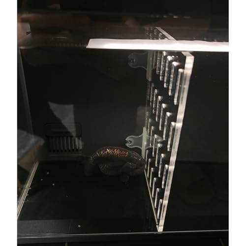 Aquarium-Tank-Trennwand, transparentes Acryl, verstellbarer Zuchtkoffer für Betta und Kampffische, gesunde Trennlösung Aquarium-Tank-Trennwand, transparentes Acryl, verstellbarer Zuchtkoffer für Betta und Kampffische, gesunde Trennlösung von Generisch
