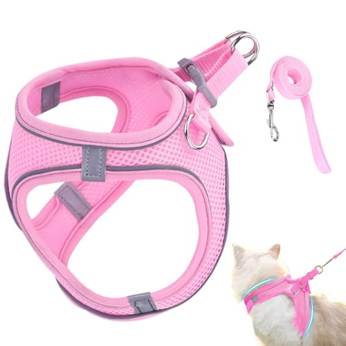 Ausbruchssicheres Katzengeschirr,Weiches Reflektierendes Mesh Geschirr Und Leine - Größen S M L Für Wanderungen Training Reisen Outdoor Ausbruchssicheres Katzengeschirr,Weiches Reflektierendes Mesh Geschirr Und Leine - Größen S M L Für Wanderungen Training Reisen Outdoor von Generisch