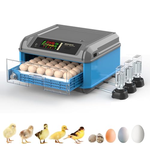 Automatischer Eierbrutkasten mit Temperaturregelung und 360-Grad-Ansicht, ideal zum Schlüpfen von Hühnern, Enten, Gänsen und Wachteln Automatischer Eierbrutkasten mit Temperaturregelung und 360-Grad-Ansicht, ideal zum Schlüpfen von Hühnern, Enten, Gänsen und Wachteln von Generisch