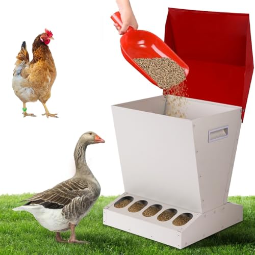 Automatischer Geflügel-Futterspender mit Deckel, wetterfester Futterspender für den Außenbereich, für Hühner, Enten, Gänse, Truthähne, Wachteln, auslaufsicheres Design, hält das Futter trocken Automatischer Geflügel-Futterspender mit Deckel, wetterfester Futterspender für den Außenbereich, für Hühner, Enten, Gänse, Truthähne, Wachteln, auslaufsicheres Design, hält das Futter trocken von Generisch