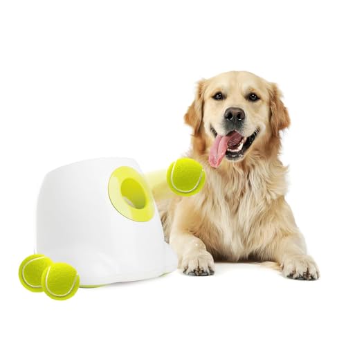 Automatischer Hundeballwerfer, interaktiver Tennisballwerfer für kleine und mittelgroße Hunde, inklusive 3 Tennisbälle, Mini-Ballwurfmaschine Automatischer Hundeballwerfer, interaktiver Tennisballwerfer für kleine und mittelgroße Hunde, inklusive 3 Tennisbälle, Mini-Ballwurfmaschine von Generisch