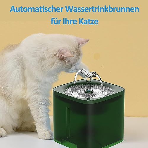 Automatischer Trinkbrunnen für Katzen, 2 L Kapazität, mit Zwei Durchflussmodi, Aktivkohlefilter, Intelligente Pumpe, Haustiertrinkbrunnen für Katzen und Hunde von Generisch