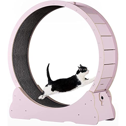 BLANKX Cat Wheel for Home Cats, Quiet Small Medium Running Wheel for Cats, Small Gap Pet Cat Balance Bike Toy with Brake, M-White von Generisch