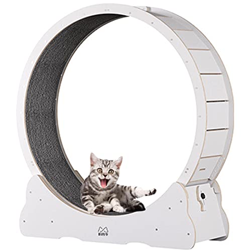 BLANKX Cat Wheel for Home Cats, Quiet Small Medium Running Wheel for Cats, Small Gap Pet Cat Balance Bike Toy with Brake, M-White von Generisch