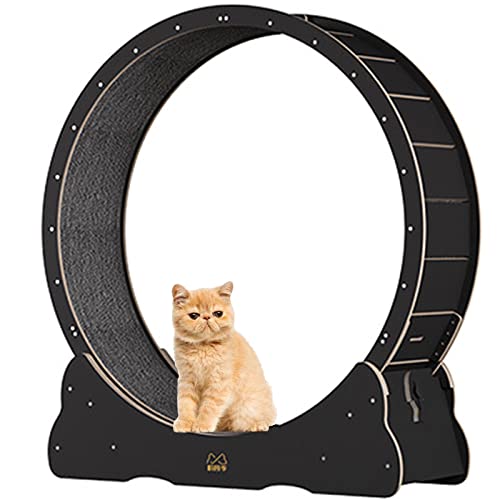 BLANKX Cat Wheel for Home Cats, Quiet Small Medium Running Wheel for Cats, Small Gap Pet Cat Balance Bike Toy with Brake, M-White von Generisch