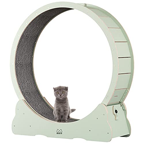 BLANKX Cat Wheel for Home Cats, Quiet Small Medium Running Wheel for Cats, Small Gap Pet Cat Balance Bike Toy with Brake, M-White von Generisch