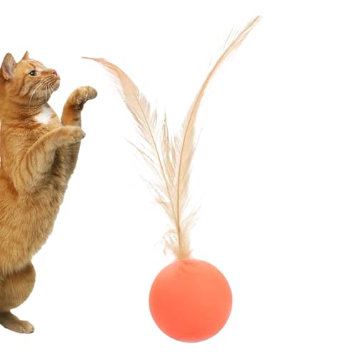 Bälle für Katzen, Katzenballspielzeug,Langeweile Relief Toy | Sensorische Stimulationsball mit Feder für die Langeweile Erleichterung im Freien im Freien im Freien. von Generisch