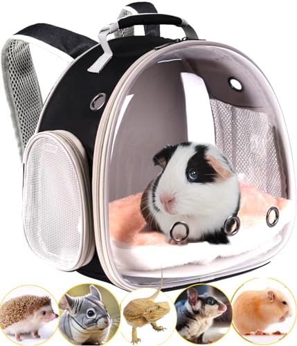 Bearded Dragon Reisetasche, Weltraumkapsel, klares Blasenfenster, Kleintier-Reiserucksack für Igel, Ratten, Papageien, Vögel, Bartagamen, Schlange, Fluggesellschaften zugelassen (schwarz, Rucksack) von Generisch