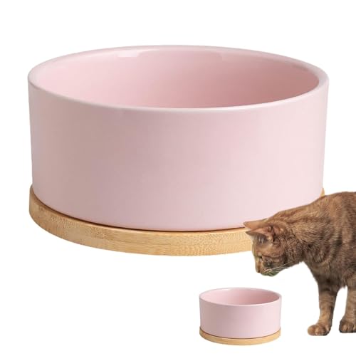 Beheizter Futternapf - Tragbarer Beheizter Wasserspender, Haustier Thermoschüssel USB Wasserspender Beheizte Schüssel mit Großer Kapazität, Sellf Heizung Hund Wassernapf für Katzen Vögel Beheizter Futternapf - Tragbarer Beheizter Wasserspender, Haustier Thermoschüssel USB Wasserspender Beheizte Schüssel mit Großer Kapazität, Sellf Heizung Hund Wassernapf für Katzen Vögel von Generisch