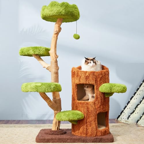 Bequemes Katzenhaus mit Baumloch und Plüsch-Hängeball und Sisalwicklung – natürliches massives Obstholz-Stützdesign – einfach zu installieren Bequemes Katzenhaus mit Baumloch und Plüsch-Hängeball und Sisalwicklung – natürliches massives Obstholz-Stützdesign – einfach zu installieren von Generisch
