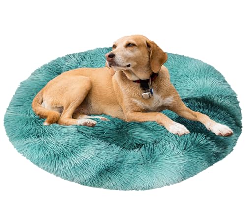 Beruhigendes Bett für Hunde und Katzen, maschinenwaschbar, Plüsch, rund, Donut-Haustierbetten für Hunde und Katzen, rutschfeste Unterseite, gemütlich, Anti-Angst Beruhigendes Bett für Hunde und Katzen, maschinenwaschbar, Plüsch, rund, Donut-Haustierbetten für Hunde und Katzen, rutschfeste Unterseite, gemütlich, Anti-Angst von Generisch