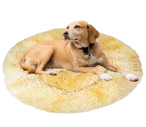Beruhigendes Bett für Hunde und Katzen, maschinenwaschbar, Plüsch, rund, Donut-Haustierbetten für Hunde und Katzen, rutschfeste Unterseite, gemütlich, Anti-Angst Beruhigendes Bett für Hunde und Katzen, maschinenwaschbar, Plüsch, rund, Donut-Haustierbetten für Hunde und Katzen, rutschfeste Unterseite, gemütlich, Anti-Angst von Generisch