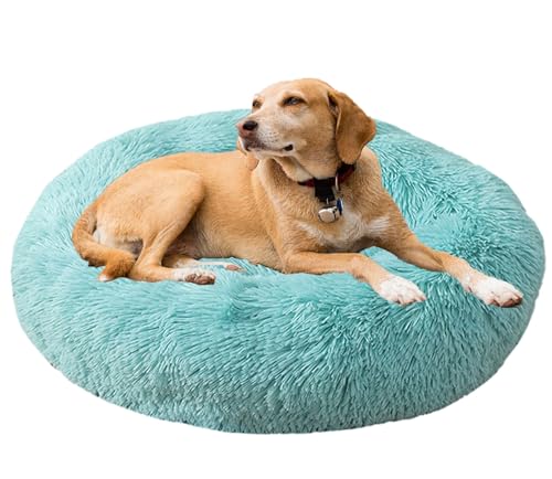 Beruhigendes Bett für Hunde und Katzen, maschinenwaschbar, Plüsch, rund, Donut-Haustierbetten für Hunde und Katzen, rutschfeste Unterseite, gemütlich, Anti-Angst Beruhigendes Bett für Hunde und Katzen, maschinenwaschbar, Plüsch, rund, Donut-Haustierbetten für Hunde und Katzen, rutschfeste Unterseite, gemütlich, Anti-Angst von Generisch