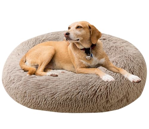 Beruhigendes Bett für Hunde und Katzen, maschinenwaschbar, Plüsch, rund, Donut-Haustierbetten für Hunde und Katzen, rutschfeste Unterseite, gemütlich, Anti-Angst Beruhigendes Bett für Hunde und Katzen, maschinenwaschbar, Plüsch, rund, Donut-Haustierbetten für Hunde und Katzen, rutschfeste Unterseite, gemütlich, Anti-Angst von Generisch