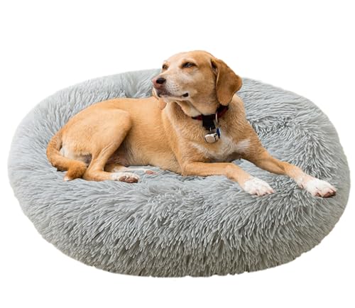 Beruhigendes Bett für Hunde und Katzen, maschinenwaschbar, Plüsch, rund, Donut-Haustierbetten für Hunde und Katzen, rutschfeste Unterseite, gemütlich, Anti-Angst Beruhigendes Bett für Hunde und Katzen, maschinenwaschbar, Plüsch, rund, Donut-Haustierbetten für Hunde und Katzen, rutschfeste Unterseite, gemütlich, Anti-Angst von Generisch