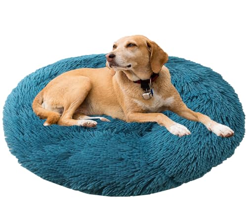 Beruhigendes Bett für Hunde und Katzen, maschinenwaschbar, Plüsch, rund, Donut-Haustierbetten für Hunde und Katzen, rutschfeste Unterseite, gemütlich, Anti-Angst Beruhigendes Bett für Hunde und Katzen, maschinenwaschbar, Plüsch, rund, Donut-Haustierbetten für Hunde und Katzen, rutschfeste Unterseite, gemütlich, Anti-Angst von Generisch
