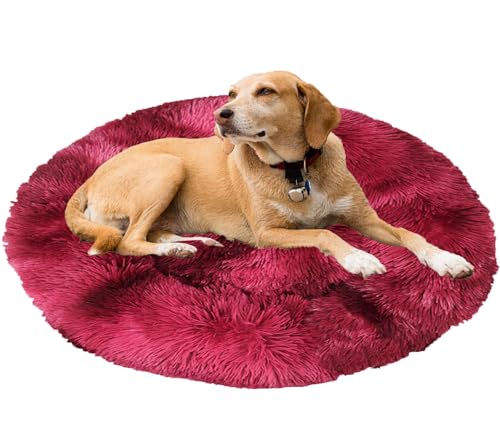 Beruhigendes Bett für Hunde und Katzen, maschinenwaschbar, Plüsch, rund, Donut-Haustierbetten für Hunde und Katzen, rutschfeste Unterseite, gemütlich, Anti-Angst Beruhigendes Bett für Hunde und Katzen, maschinenwaschbar, Plüsch, rund, Donut-Haustierbetten für Hunde und Katzen, rutschfeste Unterseite, gemütlich, Anti-Angst von Generisch