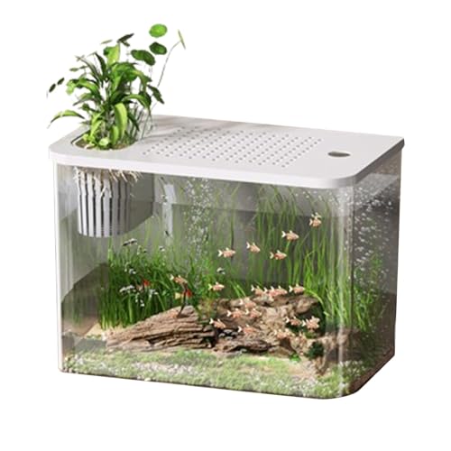Betta Aquarium Tank,Aquarium Starter Kits - Schildkrötenbecken Aquarium Goldfischbecken Fischschalen,Kleine Aquarien, dekorativer Fischbehälter für Fisch- und Gartenliebhaber Betta Aquarium Tank,Aquarium Starter Kits - Schildkrötenbecken Aquarium Goldfischbecken Fischschalen,Kleine Aquarien, dekorativer Fischbehälter für Fisch- und Gartenliebhaber von Generisch
