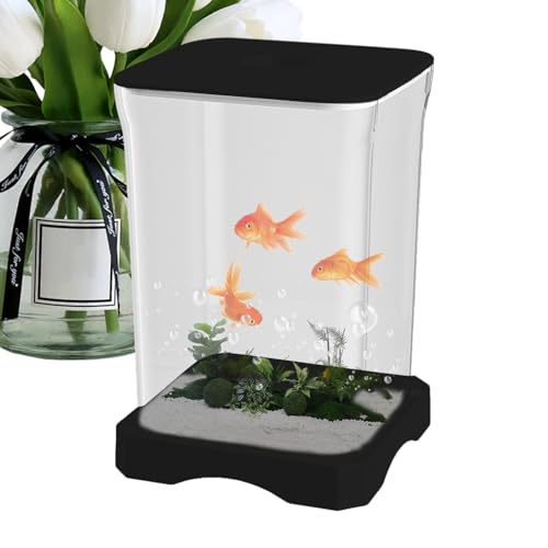 Betta Aquarium Tank - Dekoratives Mini -Aquarium, Büro -Aquarium | Kleines Aquarium mit integrierter LED -Beleuchtung, verwendet als dekoratives Objekt in Küche, Schlafzimmer, Schreibtisch oder Entspa von Generisch