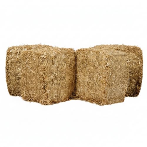 Bio Strohstreu 15 kg für Hühner, Pferde, Hühner, Esel, Fohlen, Stroh, natürlich, saugfähig, umweltfreundlich, wärmeisolierend von Generisch