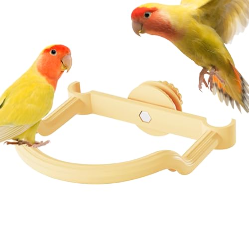 Bird Perch | Sitzstangen Für Großvögel | rutschfeste Pfotenpflege Kleintier Klettertrainingszubehör Für Conure Ara Wellensittich Unzertrennlicher von Generisch