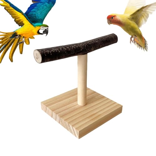 Bird Play Papageientraining-T-Ständer – Holz-Vogel-Sitzstange, Tisch-T- -Sitzstange | Holz-Vogel-Spielständer mit tragbarem Trainingsspielplatz, Vogelkäfig-Spielzeug für Nymphensittiche Bird Play Papageientraining-T-Ständer – Holz-Vogel-Sitzstange, Tisch-T- -Sitzstange | Holz-Vogel-Spielständer mit tragbarem Trainingsspielplatz, Vogelkäfig-Spielzeug für Nymphensittiche von Generisch