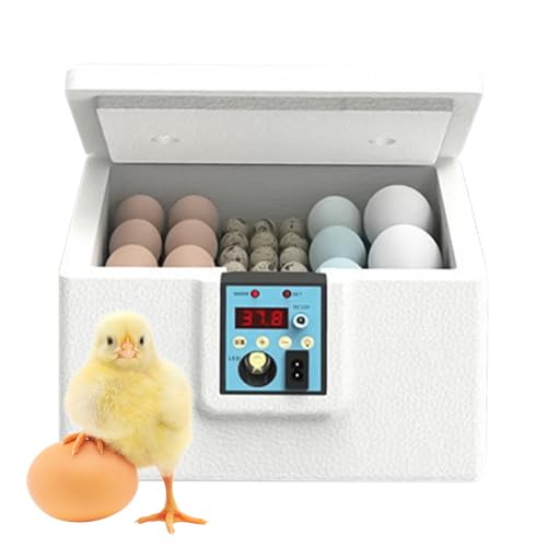 Brutapparat Für Hühnereier,Eier Brutmaschine Mit Schierlampe - Häusliche Brutbox Für Geflügelzucht Und Schulprojekte von Generisch