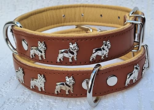 Bully Französische Bulldogge Frenchie Halsband - Halsumfang 30-39cm/30mm, 32-44cm/30mm, 36-49cm/30mm Leder Cognac Beige (3. Halsumfang 36-49cm/30mm/55cm) von Generisch