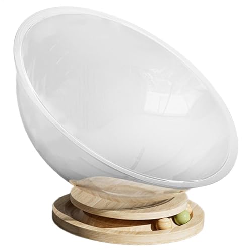 Cat Bed, Freestanding Small Cat House, Transparent Furniture Set, Easy Cleaning Stable Activity Center, Comfortable Space Bed for Kittens, Sleeping Solution 12.6x12.6x5.12 inches Cat Bed, Freestanding Small Cat House, Transparent Furniture Set, Easy Cleaning Stable Activity Center, Comfortable Space Bed for Kittens, Sleeping Solution 12.6x12.6x5.12 inches von Generisch