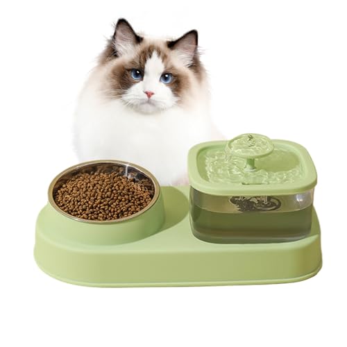 Cat Feeding Station, Large Capacity Spill-Proof Water Bowl, Dry Wet Separation Design, 12.4x4.33x5.91 Inches for Multi-Pet Homes, Kitten Hydration and Care von Generisch