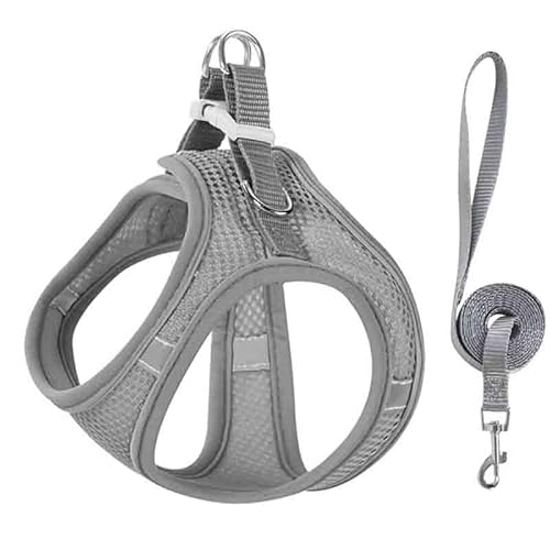 Cat Harness,Cat Adjustable Soft Mesh Vest Harness,Side-Through No-Pull Design,Escape Proof Outdoor Cat Leash,Easy to Wear for Walking & Outdoor (Grey, XS(Neck Circumference 32-36cm)) von Generisch