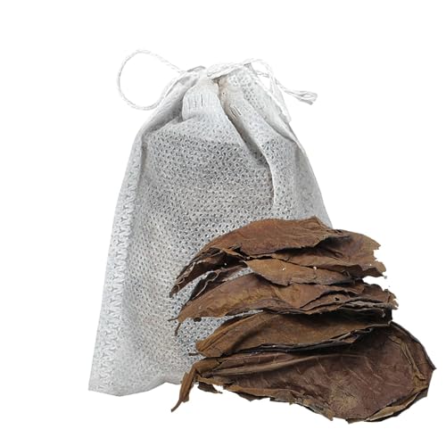 Catappa Leaves - Shrimp Leaves | Water Conditioner Leaves | Shrimp Tank Accessories For Creating Natural Habitat, Improves Immunity, Better Habitat Environment Catappa Leaves For Aquariums Catappa Leaves - Shrimp Leaves | Water Conditioner Leaves | Shrimp Tank Accessories For Creating Natural Habitat, Improves Immunity, Better Habitat Environment Catappa Leaves For Aquariums von Generisch