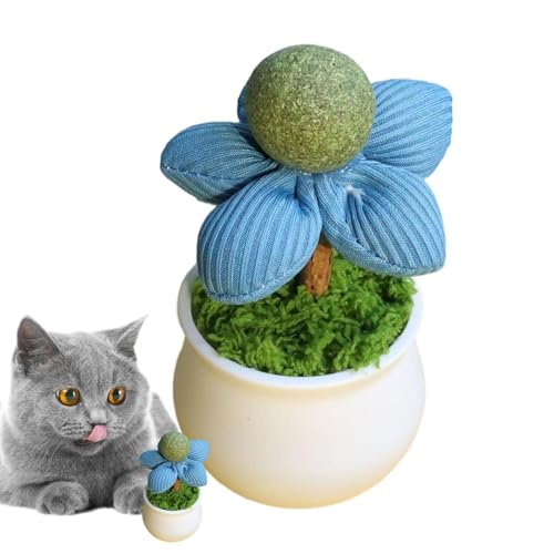 Catnip Interactive Cat Toy, Catnip Lick -Kugeln für Katzen, Blumentopf Design Katzenminze Licking Bälle für Katzen, Innenkätzchen -Unterhaltung Haustierversorgungen zum Spielen der Zähneputzung des Ka Catnip Interactive Cat Toy, Catnip Lick -Kugeln für Katzen, Blumentopf Design Katzenminze Licking Bälle für Katzen, Innenkätzchen -Unterhaltung Haustierversorgungen zum Spielen der Zähneputzung des Ka von Generisch
