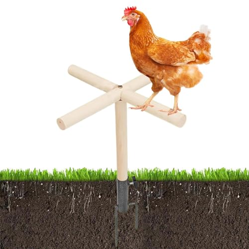 Chicken Barch - Vögel Sitzstange Spielzeug | Hühnerstange Spielzeug für Stall Küken Barsch Ständer Vögel Training Ast Sitzstange für Hahn von Generisch