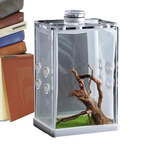 Cova Box für Rettili - Fall für transparente Tarantula -Fall für transparente Tarantula | Spinnenzüchter mit LED -Licht | Käfig für Eidechsen für Eidechsen von Generisch