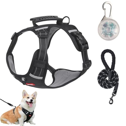 Cozy Harness,Reflective Adjustable Comfort Pet Harness,Y Shaped Chest Dog Safety Belt,No Pull Dog Harnes with Leash and LED Set for Small,Medium,Large Dogs (Black, M) von Generisch