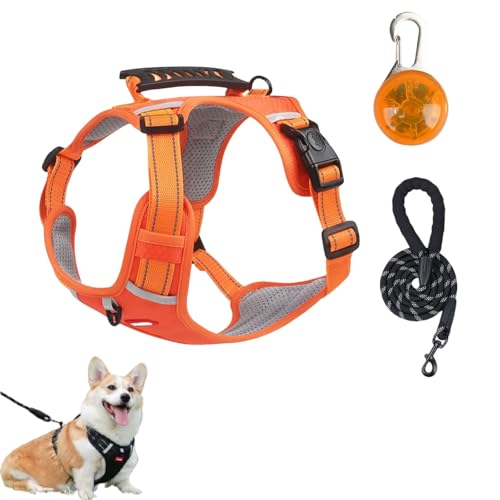 Cozy Harness,Reflective Adjustable Comfort Pet Harness,Y Shaped Chest Dog Safety Belt,No Pull Dog Harnes with Leash and LED Set for Small,Medium,Large Dogs (Orange, M) von Generisch