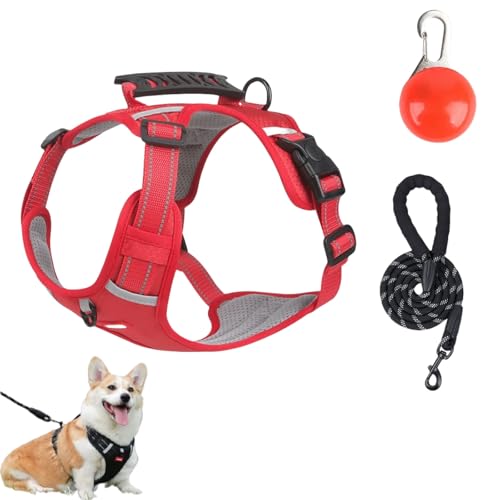 Cozy Harness,Reflective Adjustable Comfort Pet Harness,Y Shaped Chest Dog Safety Belt,No Pull Dog Harnes with Leash and LED Set for Small,Medium,Large Dogs (Red, L) von Generisch