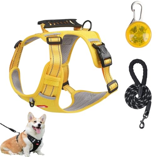 Cozy Harness,Reflective Adjustable Comfort Pet Harness,Y Shaped Chest Dog Safety Belt,No Pull Dog Harnes with Leash and LED Set for Small,Medium,Large Dogs (Yellow, S) von Generisch