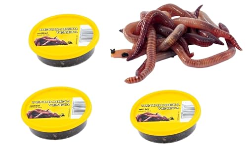 Dendrobena Regenwurm Rotwurm Würmer mittleregröße ca. 75 Stück 3 Dose Lebendfutter, Angelköder, Haustierfutter, Reptilienfutter Dendrobena Regenwurm Rotwurm Würmer mittleregröße ca. 75 Stück 3 Dose Lebendfutter, Angelköder, Haustierfutter, Reptilienfutter von Generisch