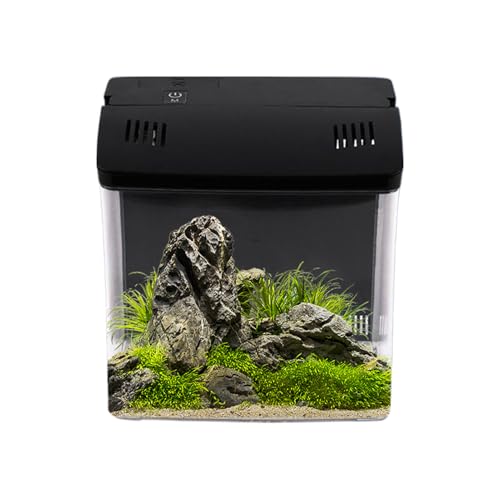 Desktop-Aquarium, kleines -Tank mit Filter – Heimdekoration für Riffquallen, , , Schreibtisch, Büro, Schreibtisch, Wohnzimmer, Haustier-Zuhause Desktop-Aquarium, kleines -Tank mit Filter – Heimdekoration für Riffquallen, , , Schreibtisch, Büro, Schreibtisch, Wohnzimmer, Haustier-Zuhause von Generisch