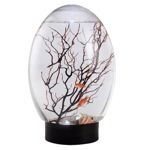Desktop -Fischtank - Kleines LED -Licht, kompaktes leichtes Design | Lustiger Aquaponic Pflanzer, Desktop Landscapes Gebrau, bricht, um Haltbarkeit zu ermöglichen, Fischschale nahtlos Raum zu beautken Desktop -Fischtank - Kleines LED -Licht, kompaktes leichtes Design | Lustiger Aquaponic Pflanzer, Desktop Landscapes Gebrau, bricht, um Haltbarkeit zu ermöglichen, Fischschale nahtlos Raum zu beautken von Generisch