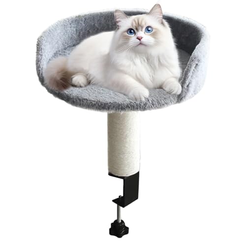 Desktop -Katzennest - Abnehmbares Schlafbett, bequeme Haustierliege | Plüschkissen mit haltbarem Rahmen und einfacher Reinigungsabdeckung, gemütlicher Rastplatz für Innenkatzen Wohnzimmer Schlafzimmer Desktop -Katzennest - Abnehmbares Schlafbett, bequeme Haustierliege | Plüschkissen mit haltbarem Rahmen und einfacher Reinigungsabdeckung, gemütlicher Rastplatz für Innenkatzen Wohnzimmer Schlafzimmer von Generisch
