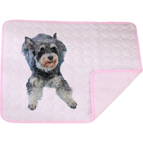 Dog Cooling mat 4 Times The Effect,Outdoor pet Cooling Bed,Washable Ice Silk self-coolings pad,Comfortable self-coolings Blanket,pet Bed,Sleeping pad, cat and Dog kennels,cage (pink, 100 * 70cm) von Generisch
